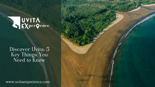 Discover Uvita: 5 Key Things You Need to Know