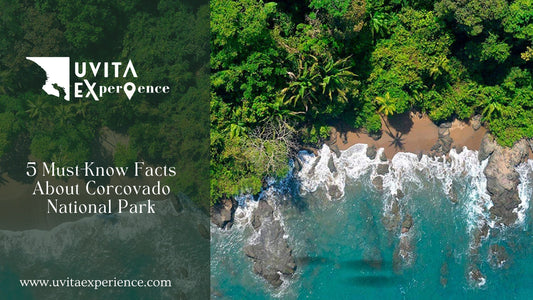 5 Must-Know Facts About Corcovado National Park