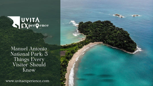 Manuel Antonio National Park: 5 Things Every Visitor Should Know