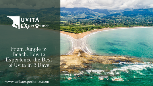 From Jungle to Beach: How to Experience the Best of Uvita in 3 Days (No Car Needed!)