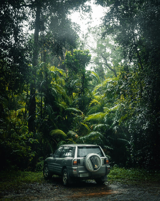 Visita guiada privada: ¡elige tu aventura!