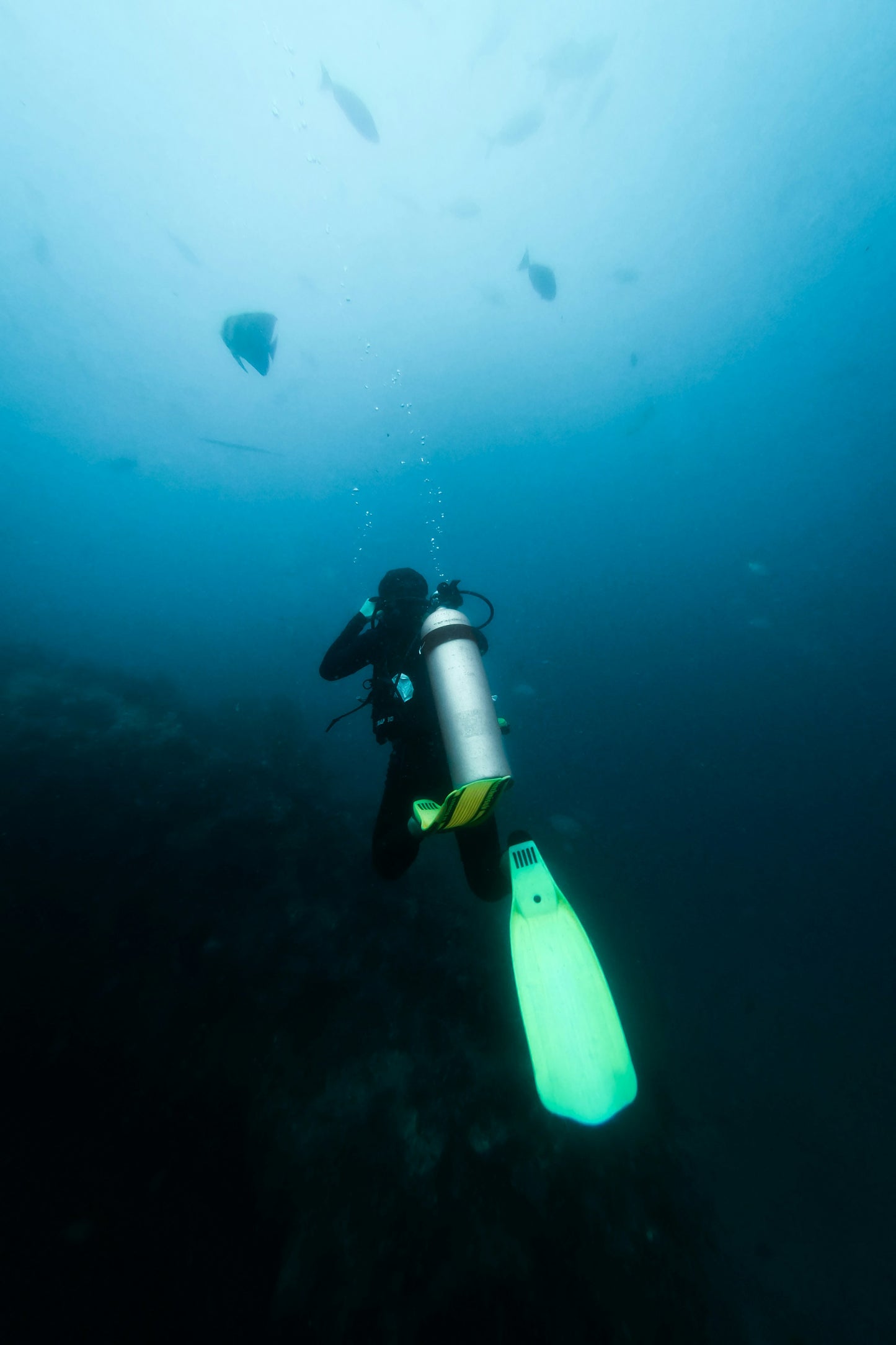 Scuba Diving Tour