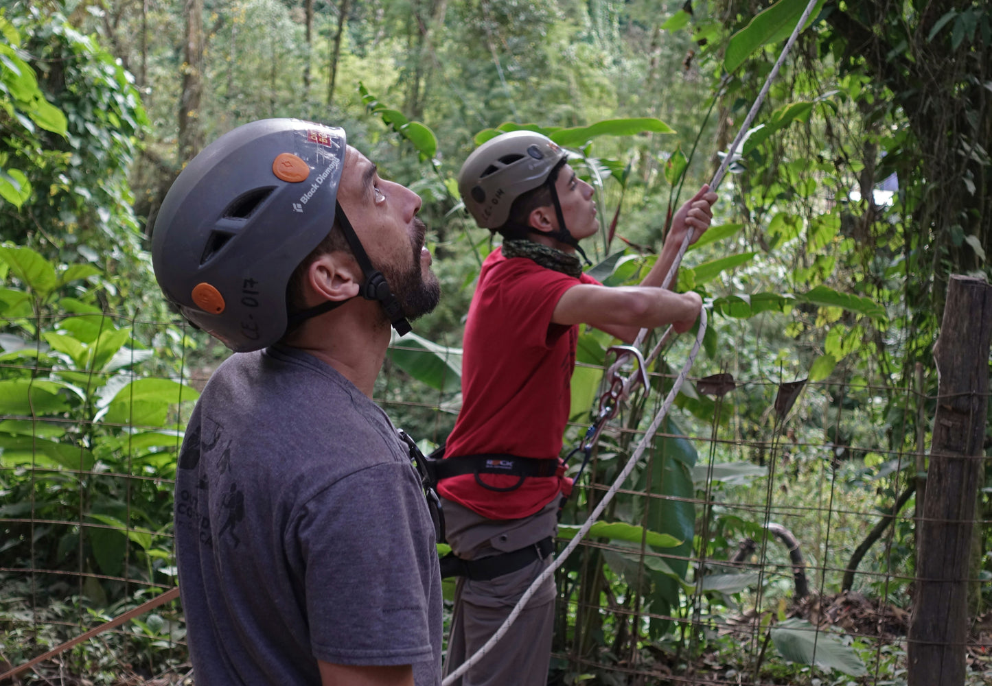 Zip lining