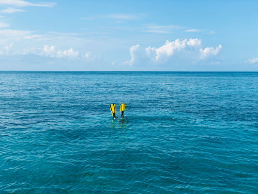 Tour de snorkel en Uvita