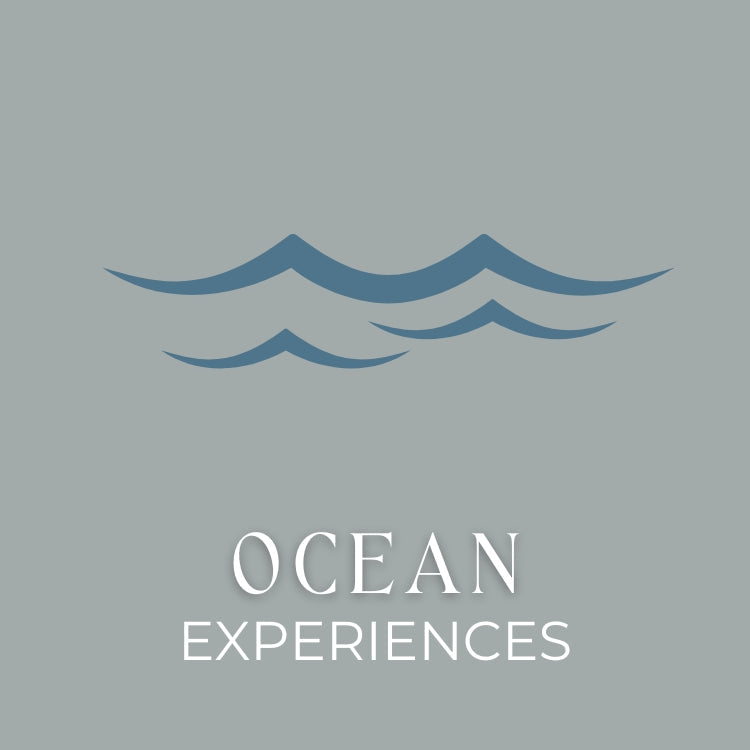 Ocean Experiences