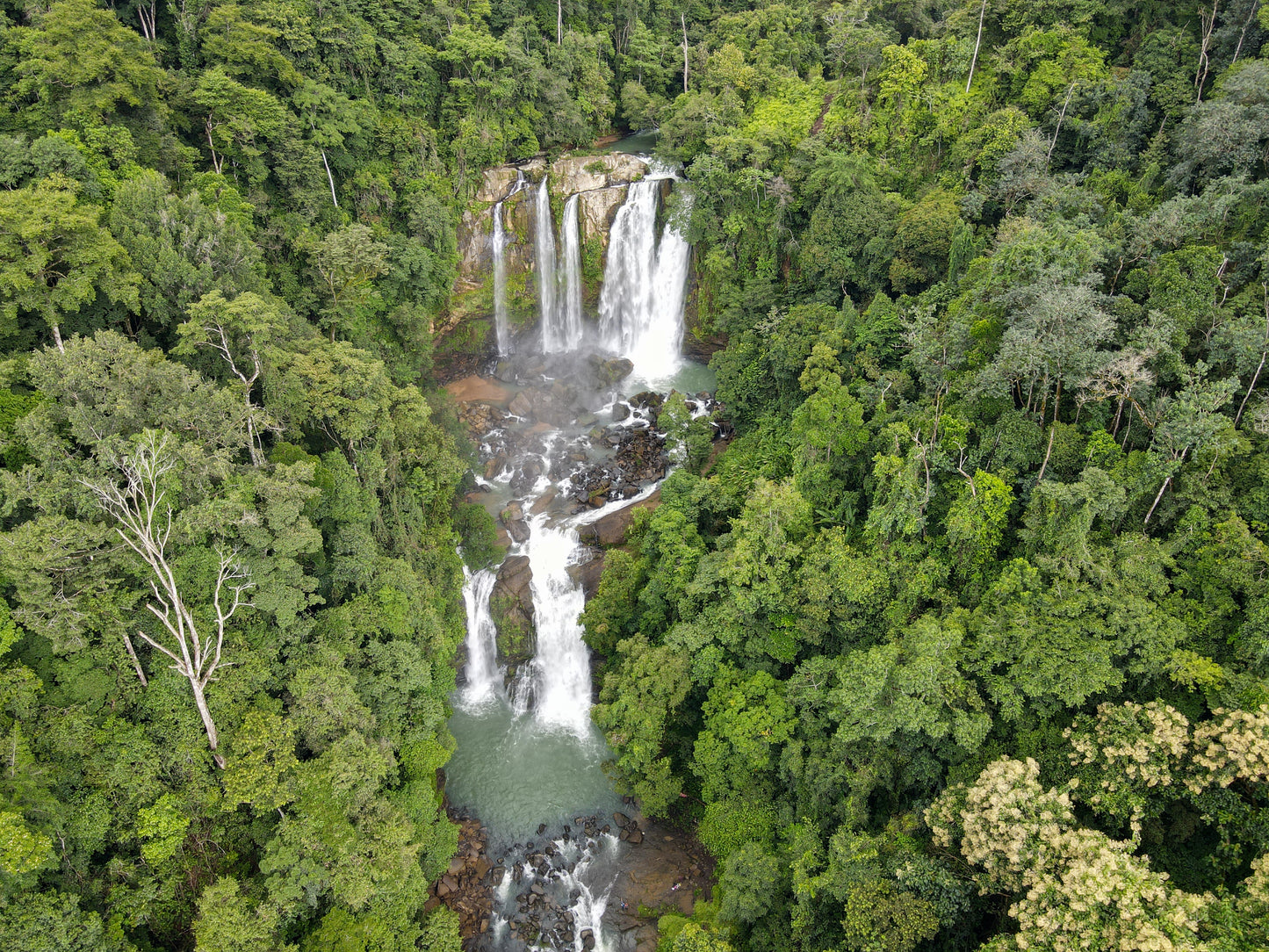Tour a las Cataratas de Nauyaca (máximo 3 personas)