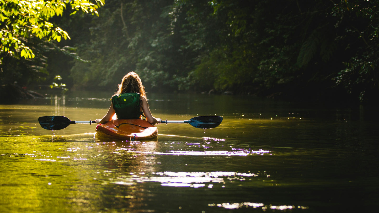 Kayak en el manglar